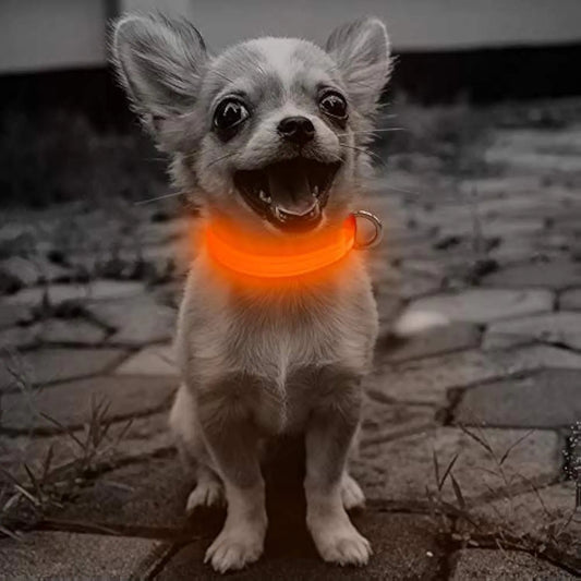 Candofly Reflective LED Dog Collar - Light Up Dog Collar USB Rechargeable Puppy Collar Nylon Dog Glow Collar Dog Lights for Night Walking & Camping (X-Small Orange)