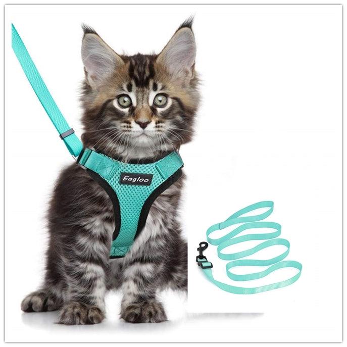 Escapeguard Cat Vest Harness And Car Seat Belt Adapter - Adjustable, Reflective, And Escape-Proof Harness For Cats And Small Dogs-3
