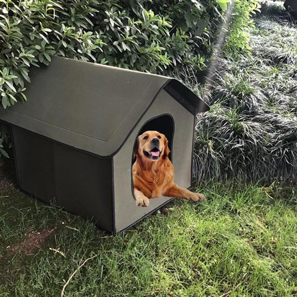The All-Weather Pet Oasis - Your Furry Friend's Outdoor Sanctuary-3