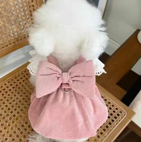 New Corduroy Pumpkin Dress for Dogs and Cats