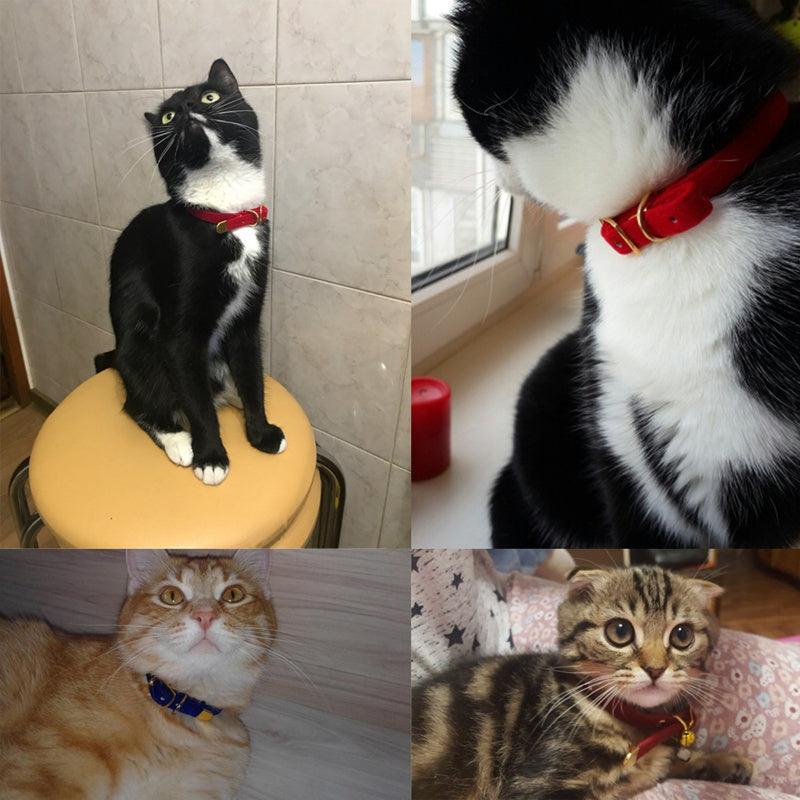 Luxurious Flocked Cat Collar: The Ultimate Pet Accessory For Style And Comfort-1