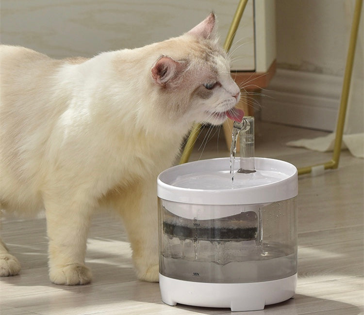 Cat drinking water from a pet fountain on a wooden floor.