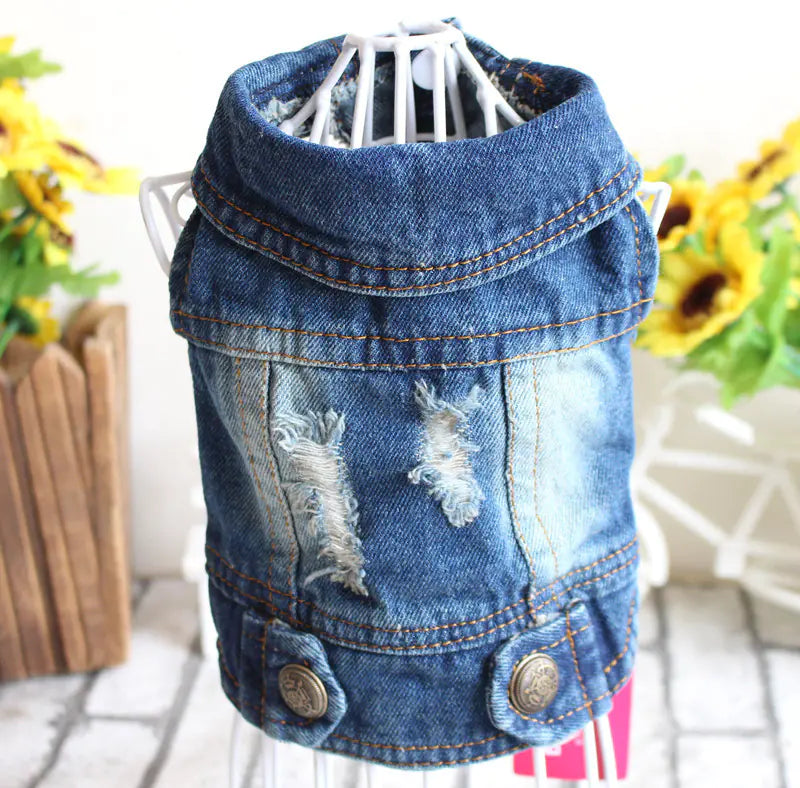 Designer Denim Jacket for Small Dogs and Cats