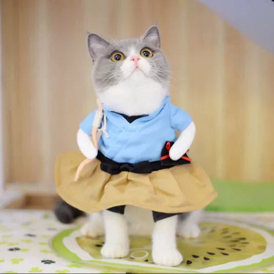 Pet Dog Cat Funny Cute Pet Costume Vertical Funny Dress-up Clothes Halloween Summer Clothes