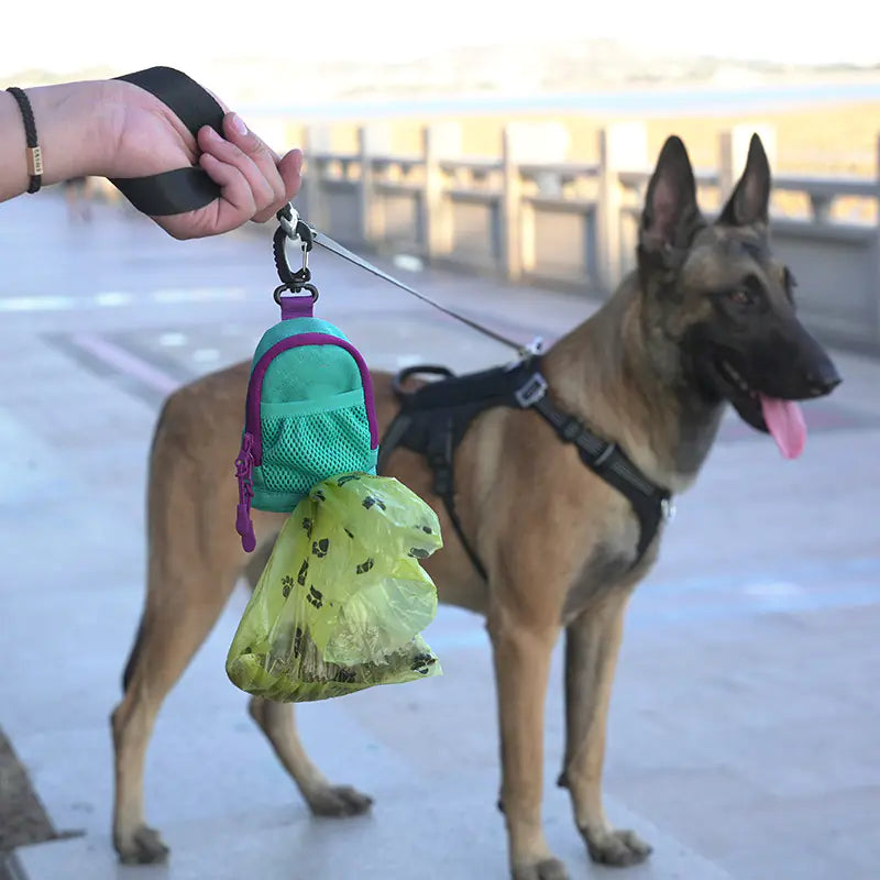 Fashionable Pet Waste Disposal Bags