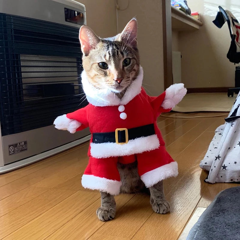 S0d835f37c9454890b70dec3e1f370e90Q