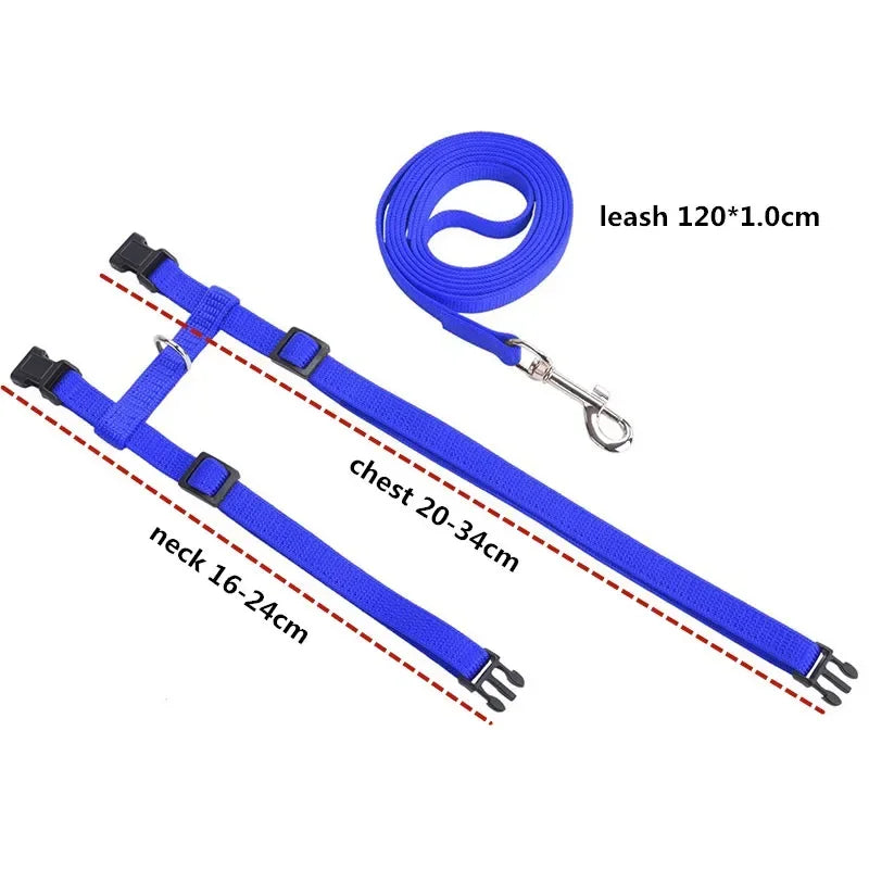 S4901d69438134e0e9c21991feaac07bcn