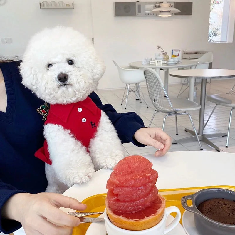 S875568bc90674920a81104ad1884212ct