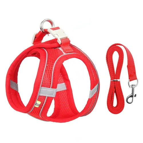 Cat Harness Leash Set Adjustable Dog Cat Collar for French Bulldog