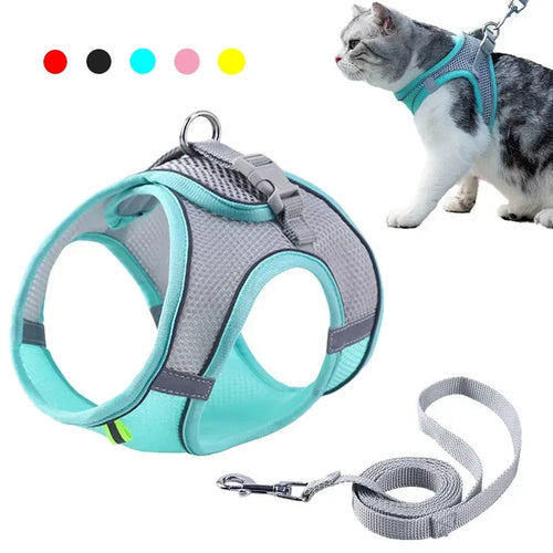 Cat Harness Leash Set Adjustable Dog Cat Collar for French Bulldog
