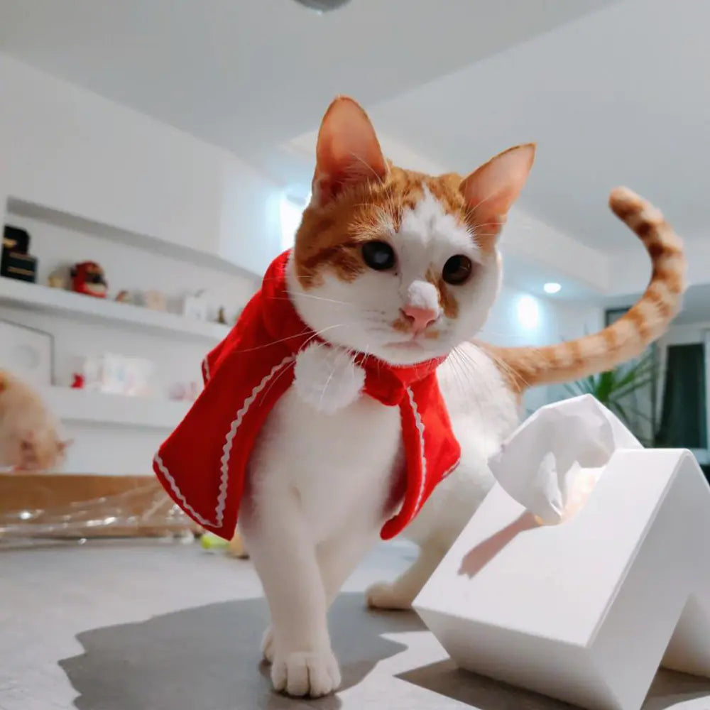 Red Christmas Cape for Small Dogs and Cats