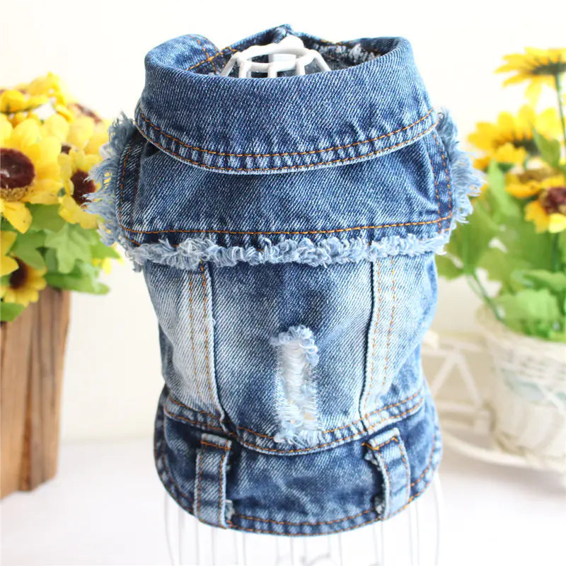 Designer Denim Jacket for Small Dogs and Cats