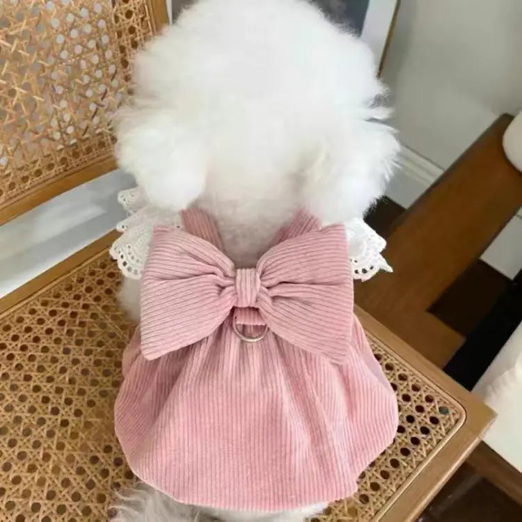 New Corduroy Pumpkin Dress for Dogs and Cats