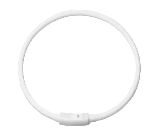 LED Fashion Dog Collar