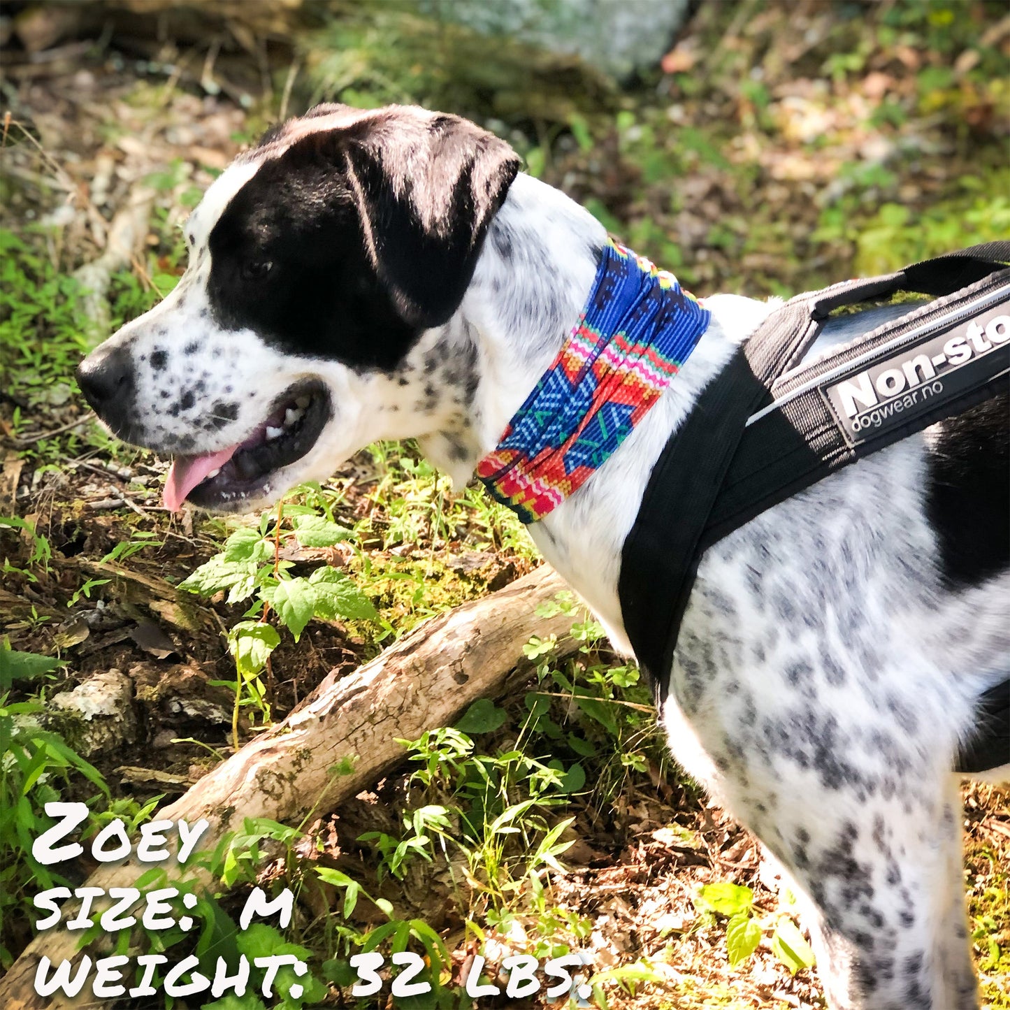 Bedouin Paws Pup Scruff-0