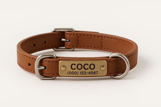 Personalized Dog Collar - Brown (Small 27-32cm)