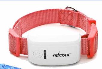 Pettrack Gps: The Ultimate Locator Device For Your Beloved Pets-1