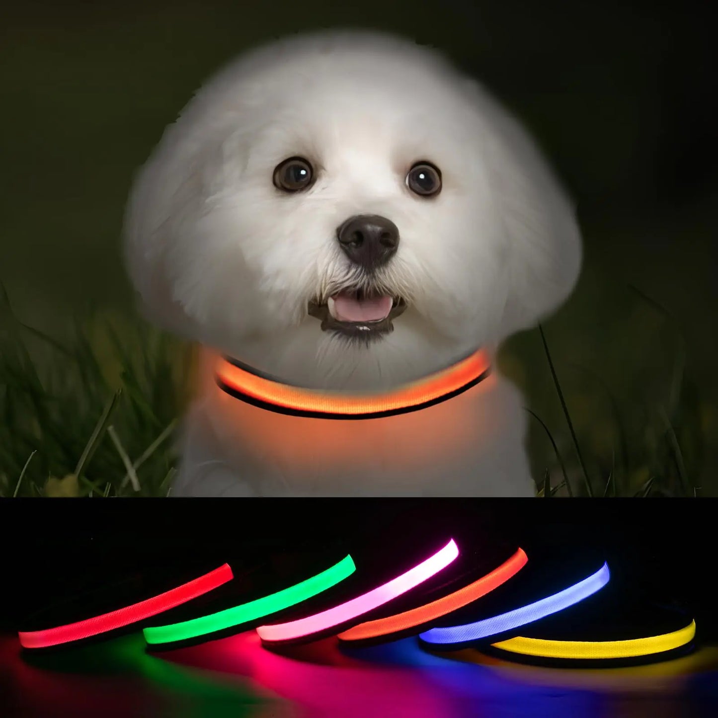 ROUWINNE Led Light Up Dog Collar for Night Walking Dog Glow Collar Rechargeable Lighted Collar for Dogs Waterproof Glowing Dog Collar (Orange Pack of 1 XS)