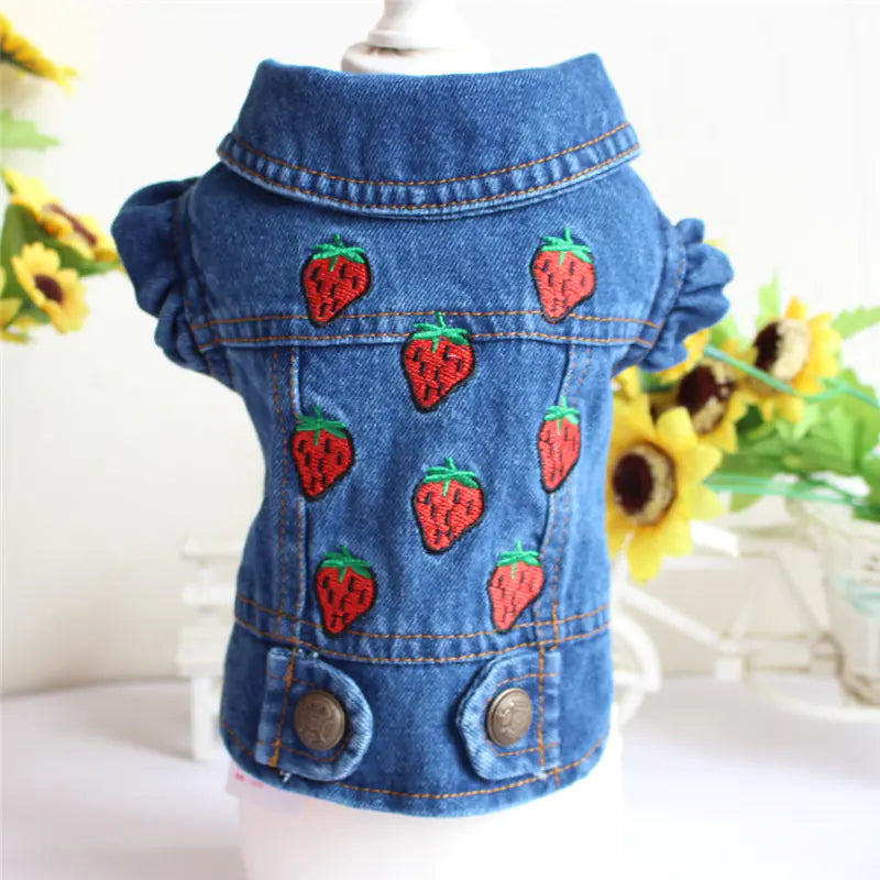 Designer Denim Jacket for Small Dogs and Cats