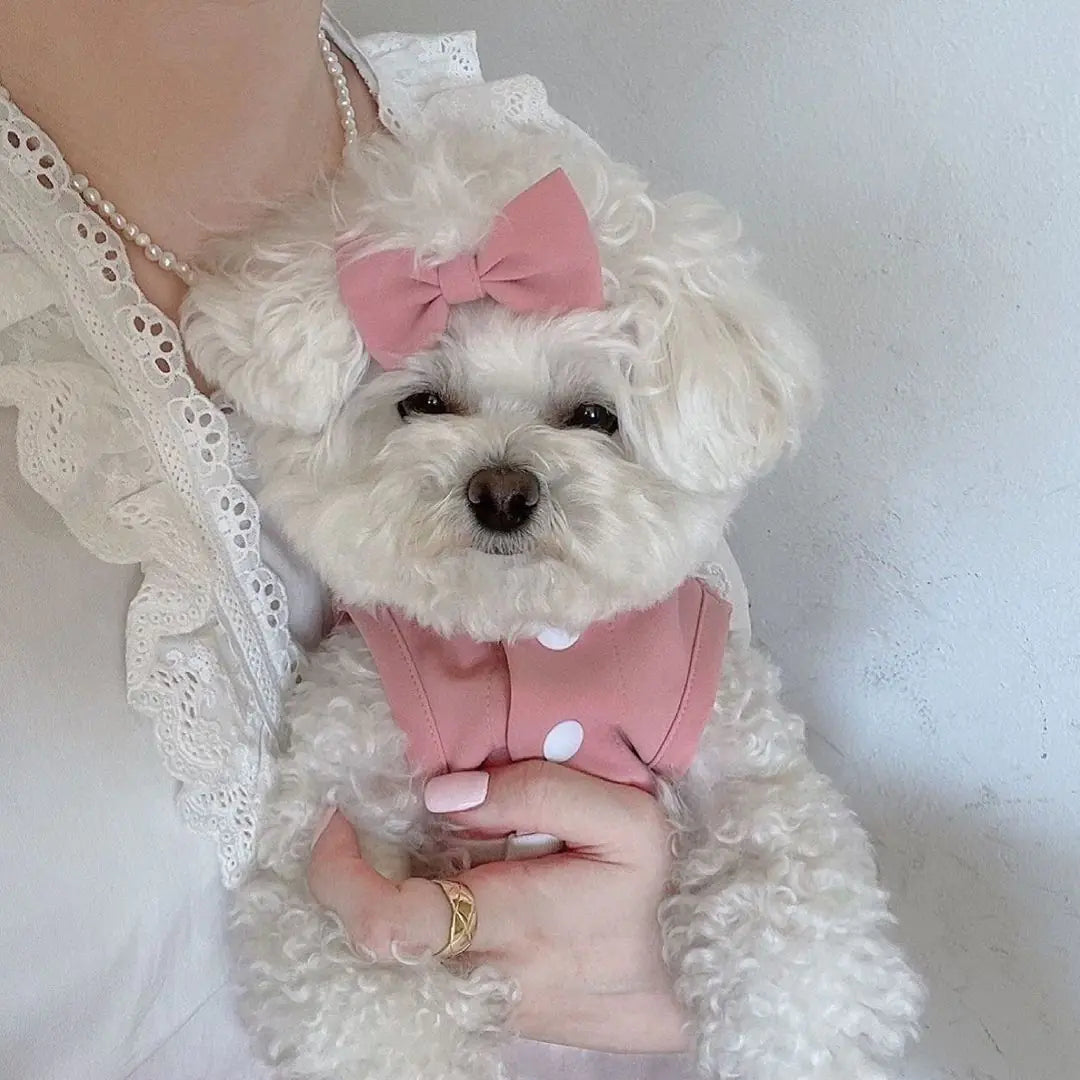 Lace Skirt for Dogs and Cats