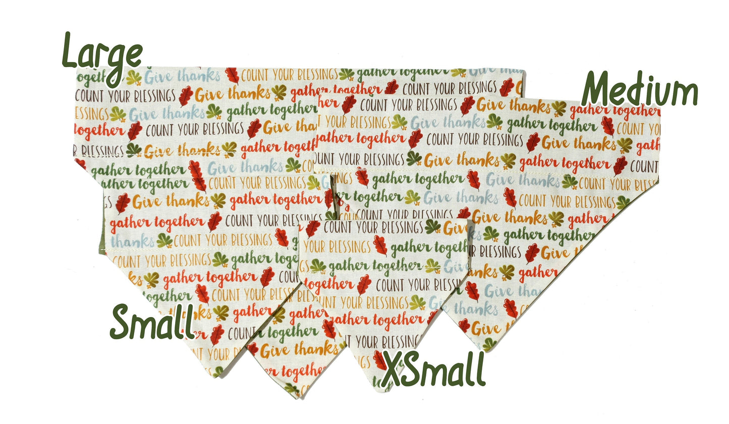 Thankful Words Pet Scarf-1