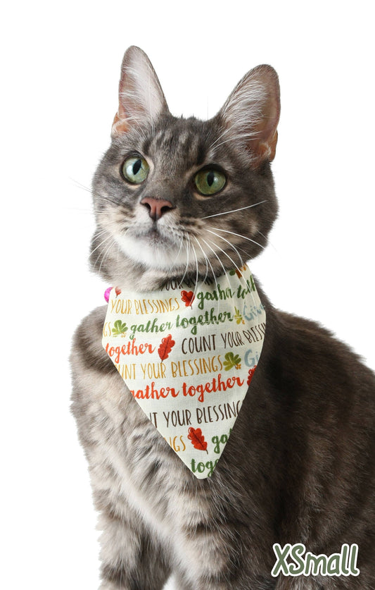 Thankful Words Pet Scarf-0