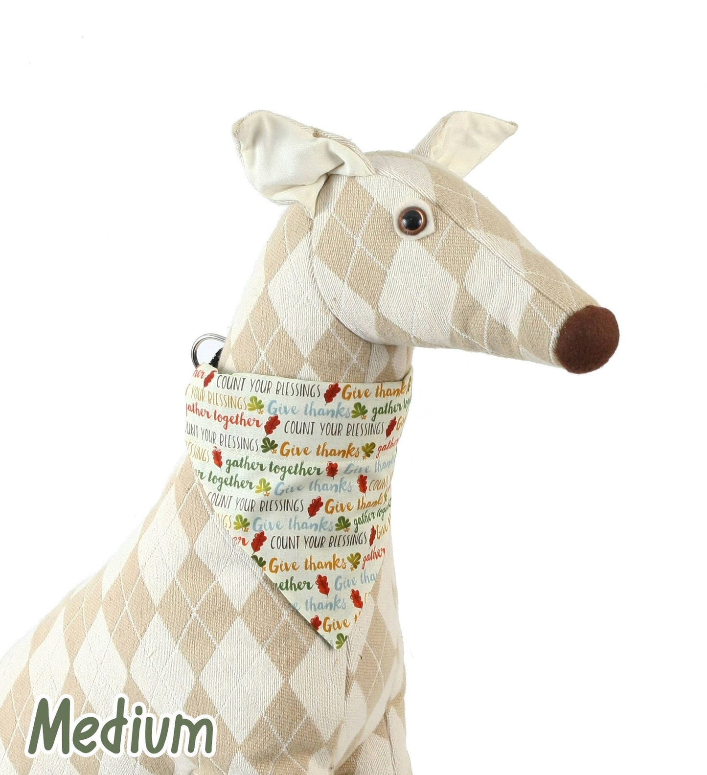 Thankful Words Pet Scarf-2