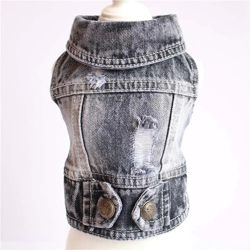 Designer Denim Jacket for Small Dogs and Cats