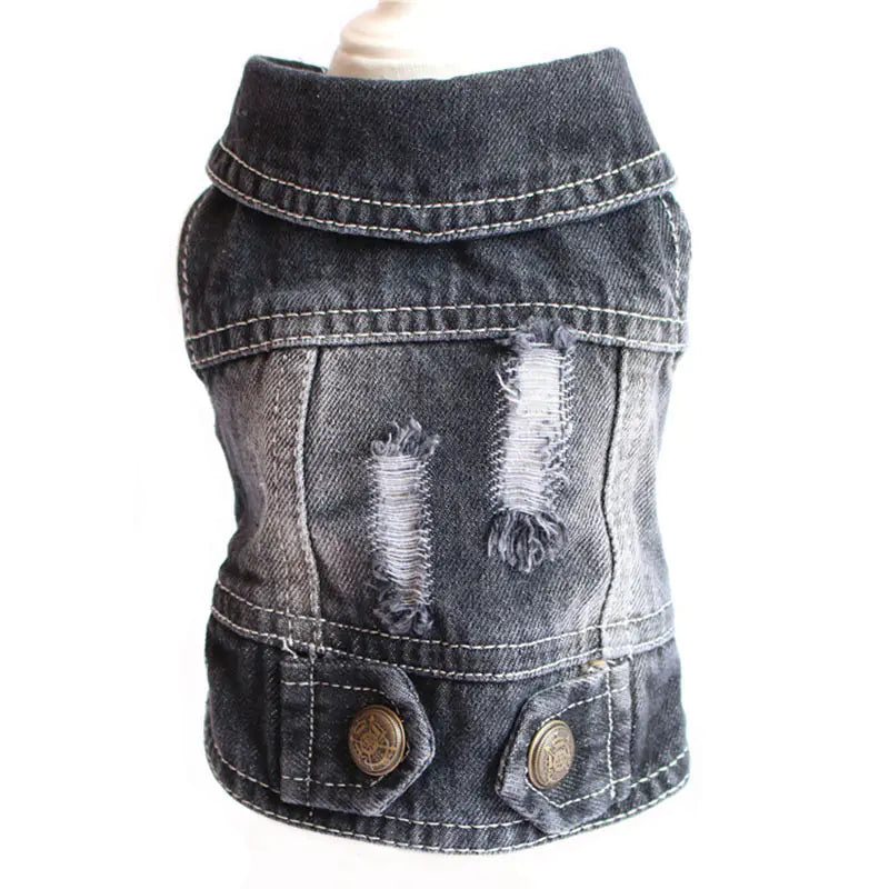 Designer Denim Jacket for Small Dogs and Cats