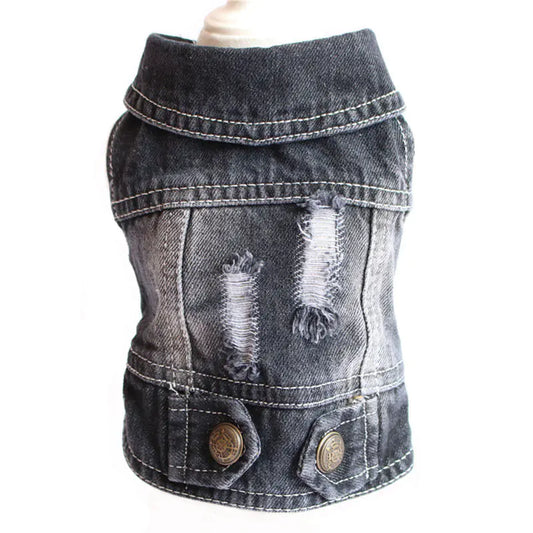 Designer Denim Jacket for Small Dogs and Cats