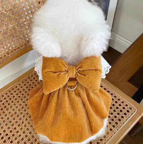 New Corduroy Pumpkin Dress for Dogs and Cats