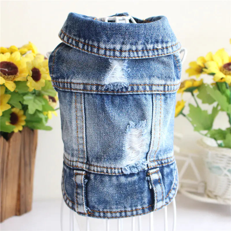 Designer Denim Jacket for Small Dogs and Cats