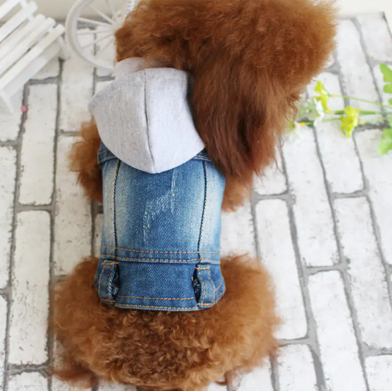 Designer Denim Jacket for Small Dogs and Cats