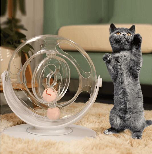 Interactive Kitty Groove: Cat Turntable Educational Toy-0