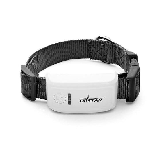 Pettrack Gps: The Ultimate Locator Device For Your Beloved Pets-0