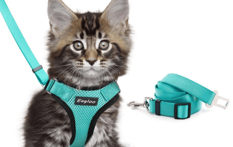 Escapeguard Cat Vest Harness And Car Seat Belt Adapter - Adjustable, Reflective, And Escape-Proof Harness For Cats And Small Dogs-21
