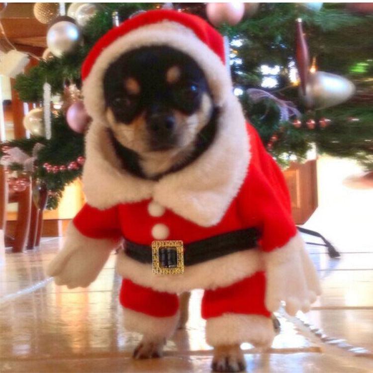 Festive Furry Friend Christmas Costume-0