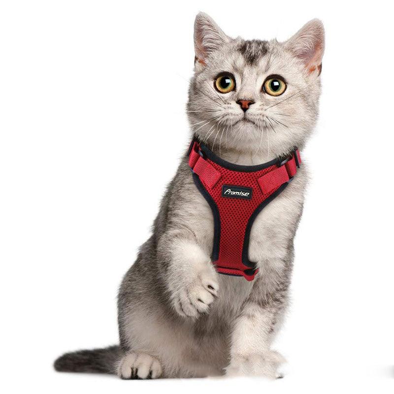 Escapeguard Cat Vest Harness And Car Seat Belt Adapter - Adjustable, Reflective, And Escape-Proof Harness For Cats And Small Dogs-2