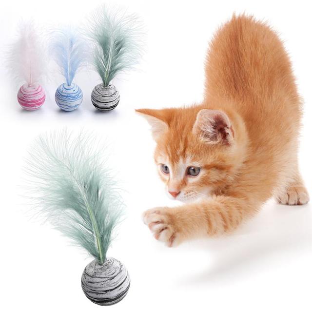 Pet Ball with feather-3