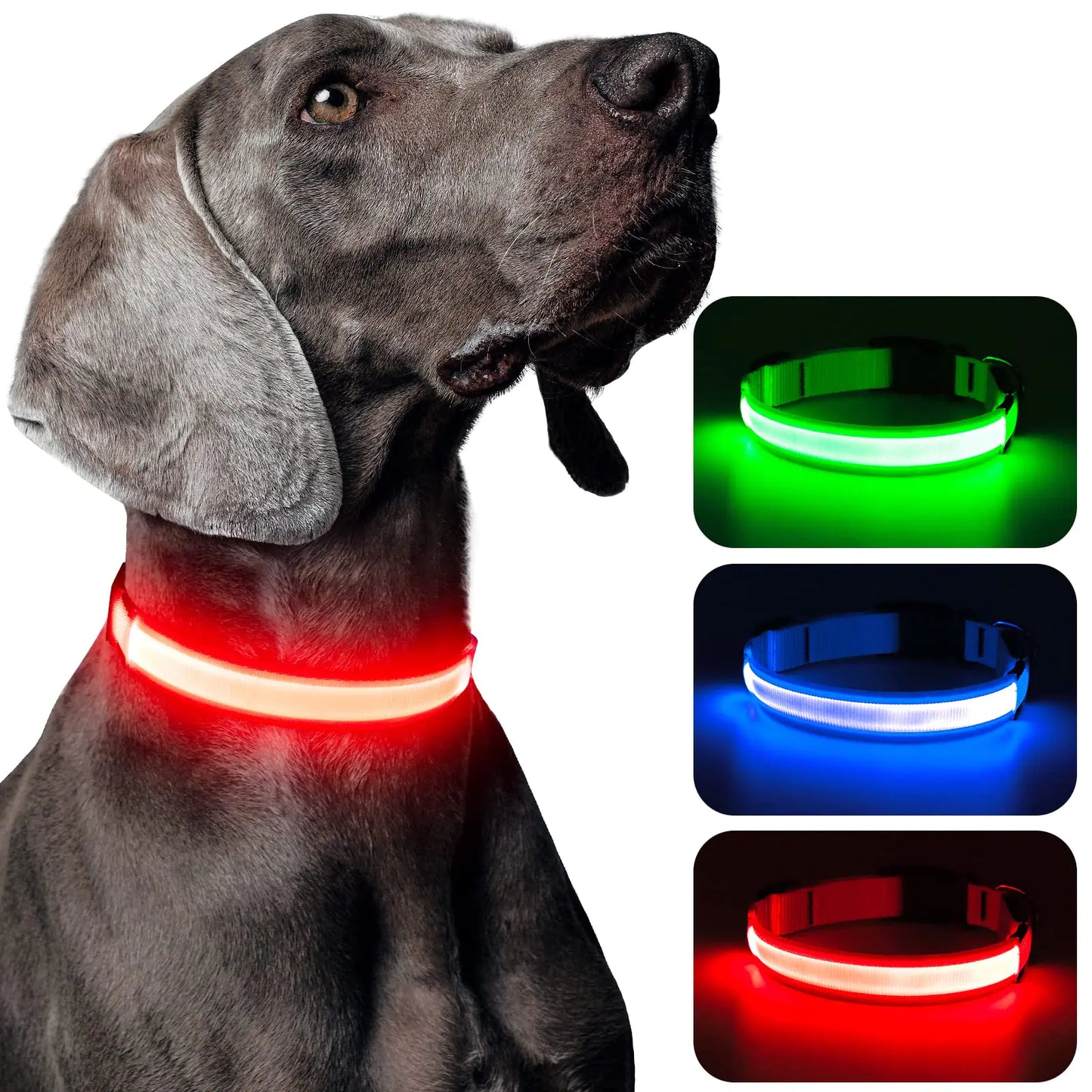 Domagiker Light Up Dog Collars - USB Rechargeable Glowing LED Dog Collar - High Visibility Adjustable Lighted Pet Collar Flashing Dog Lights for Night Walking (Medium Red)