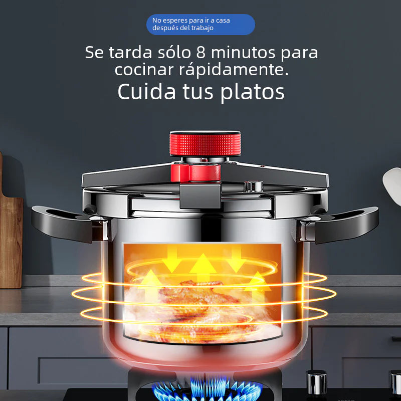 AEU 6L Stainless Steel Pressure Cooker for Home Use