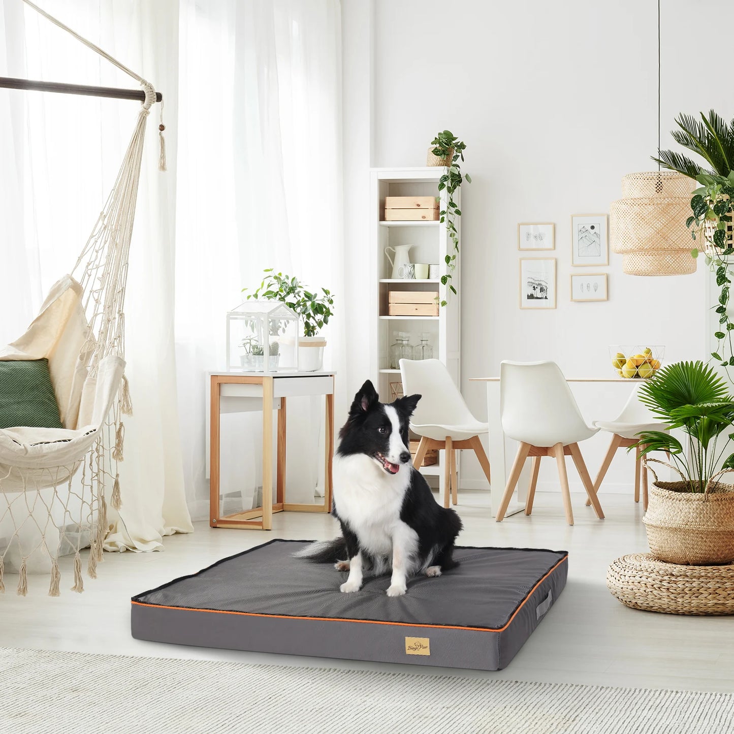 S51d04bd6e0fa4f19b2e60963dc9fab45Y