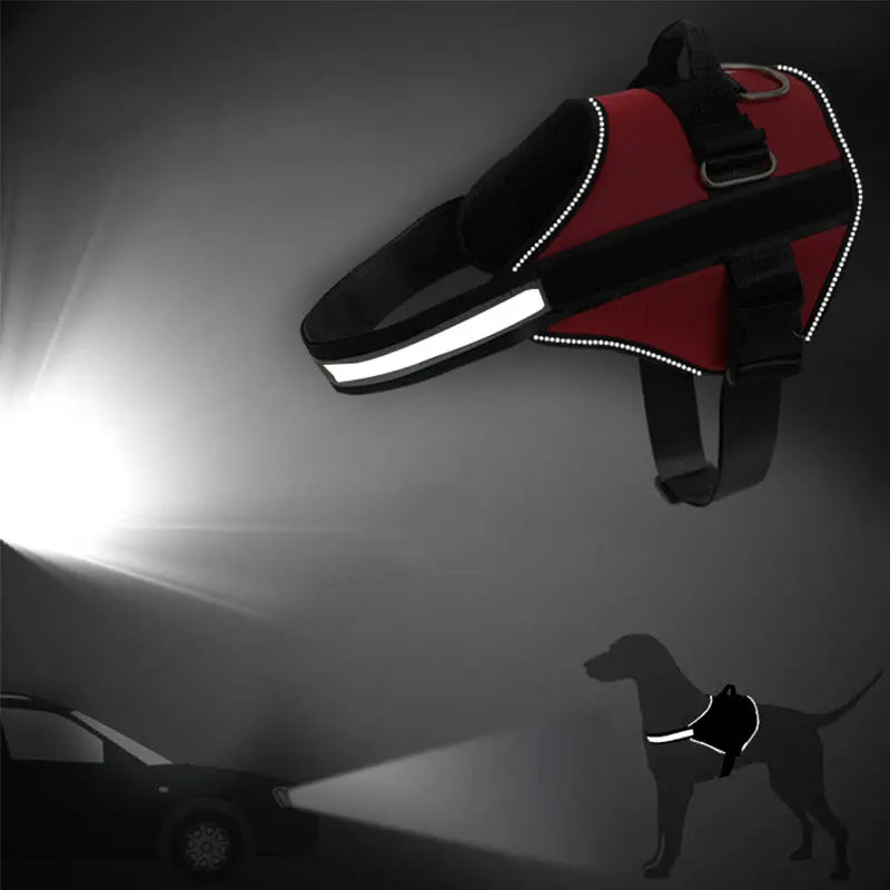 Sa1d9946428b14cc8ba88bbb5310a7127w