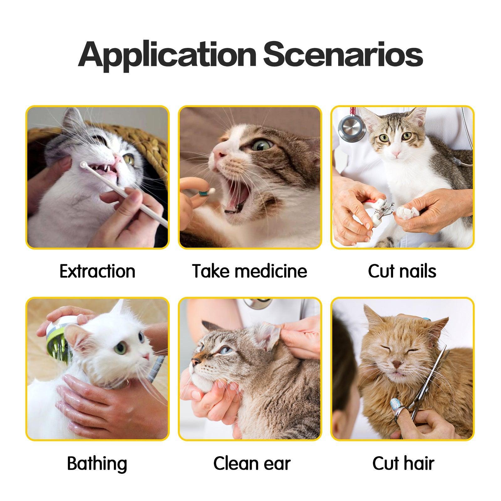 Anti-Scratch And Bite Cat Travel Bag With Double Lining - Stylish And Secure Pet Carrier-3