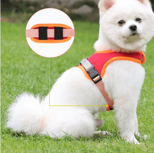 Luxury Suede Dog Harness Set: Stylish Leash And Adjustable Chest Strap For Pet Comfort-0