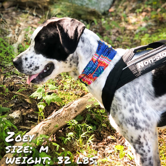 Bedouin Paws Pup Scruff-0