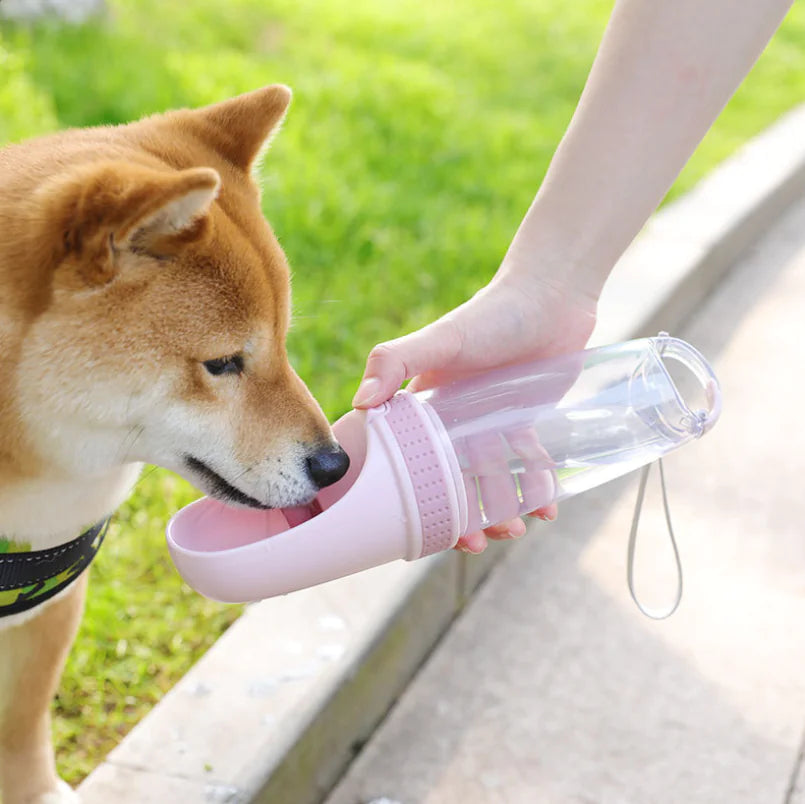 Portable Pet Water Bottle for Dogs and Cats