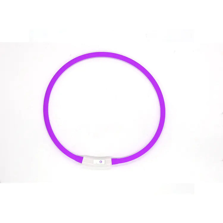 LED Fashion Dog Collar