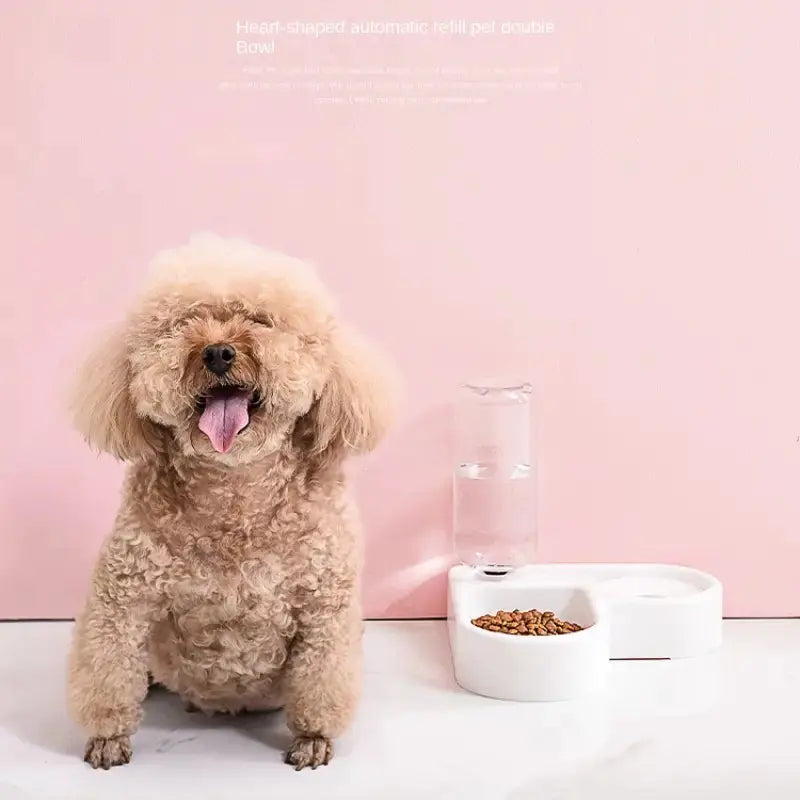 Automatic Water Fountain and Food Bowl for Pets (1pc)