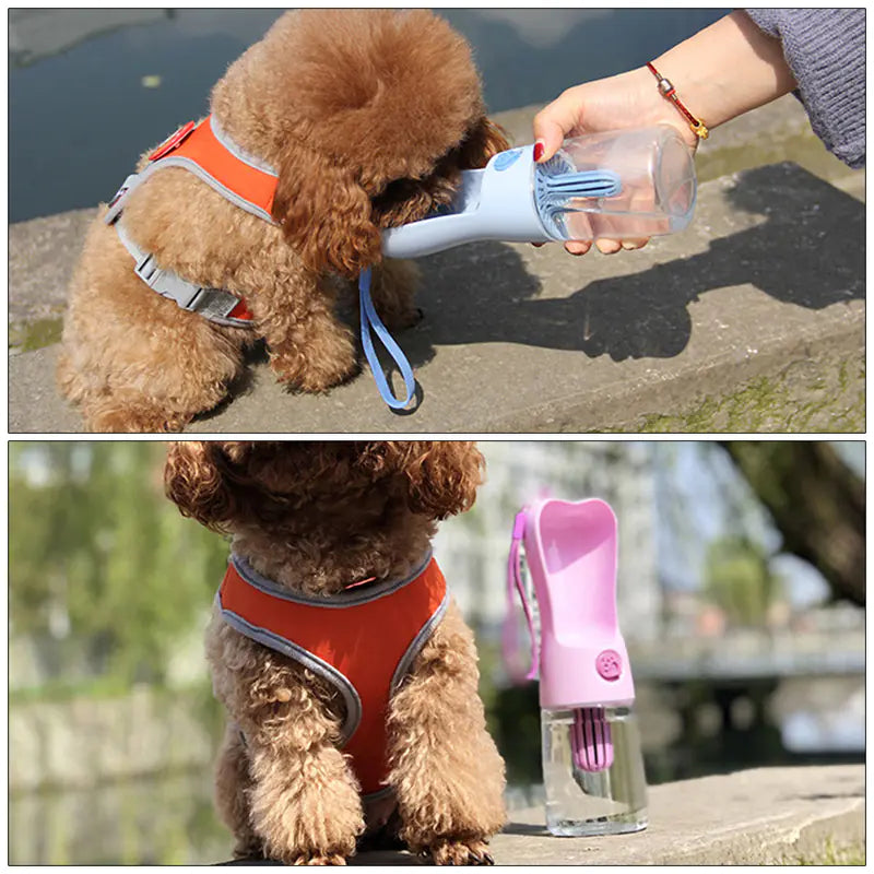 Portable Pet Water Bottle for Dogs and Cats